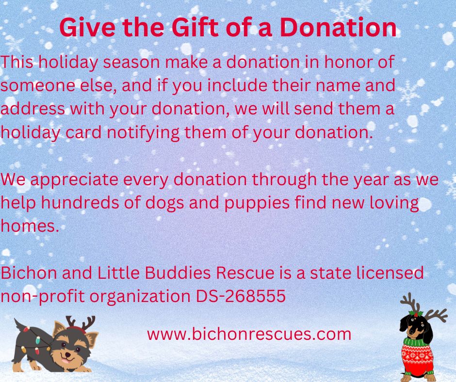 holiday donation