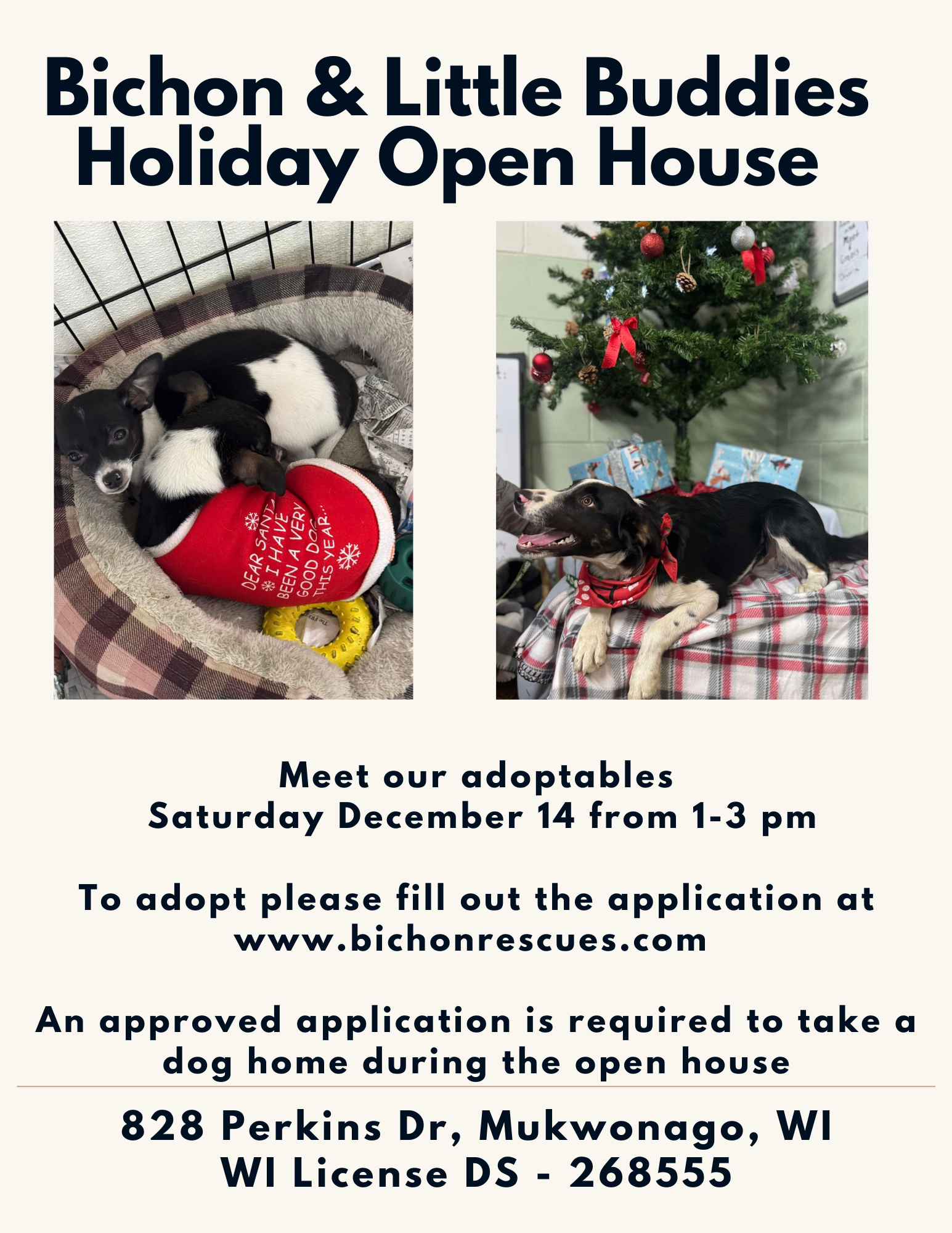 holiday open house